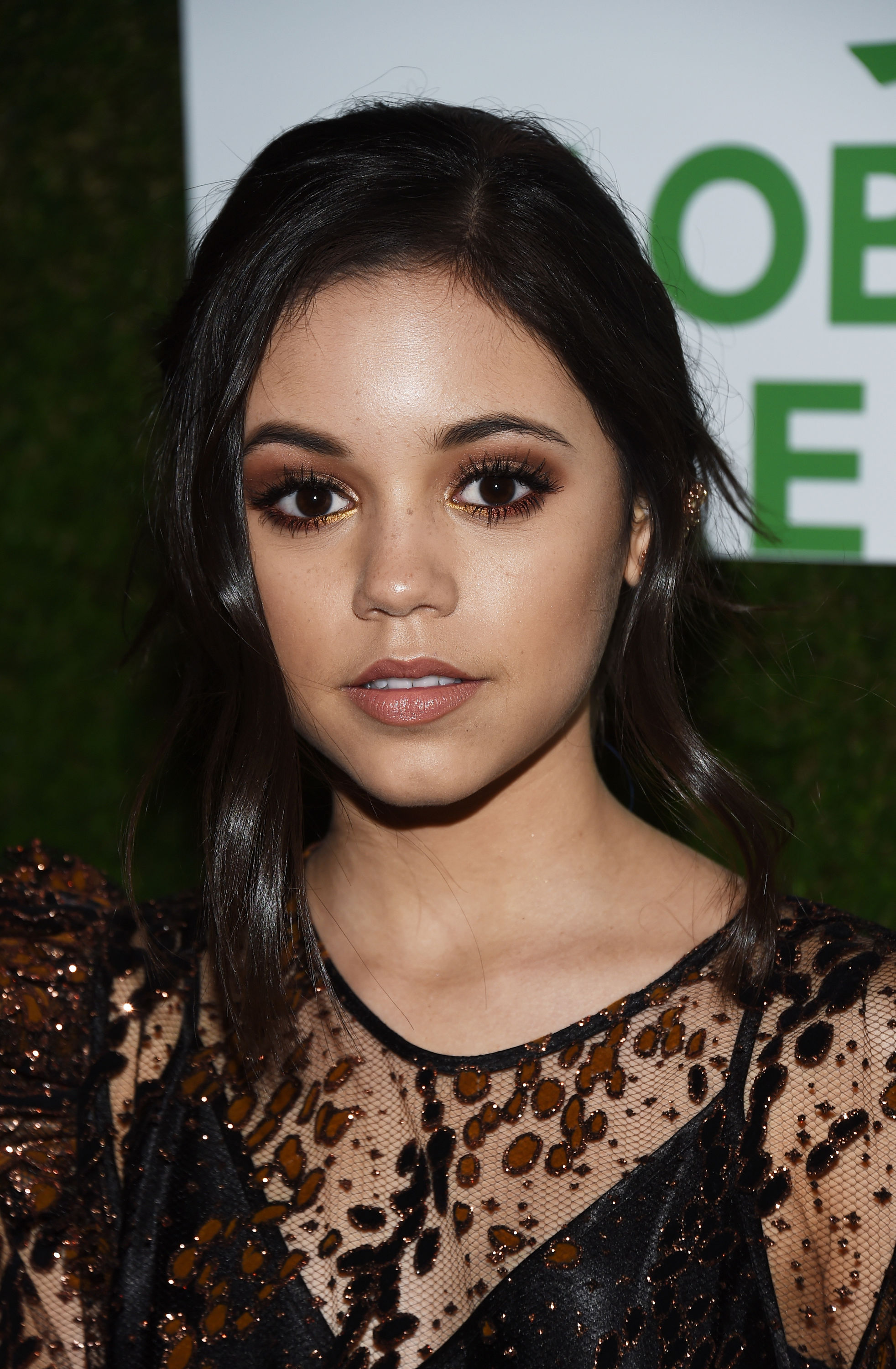 Feb 22 | 14th Annual Global Green Pre Oscar Party (Arrivals) - 028